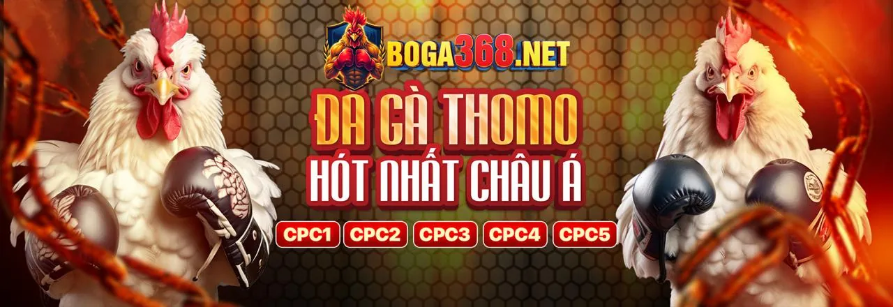 Đá Gà Trực Tuyến Hấp Dẫn tại socvip ios